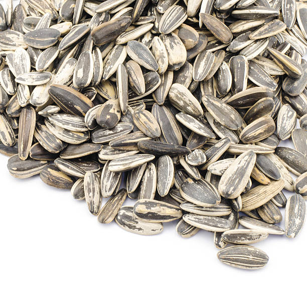 istock sunflower seeds isolated on white 485019427