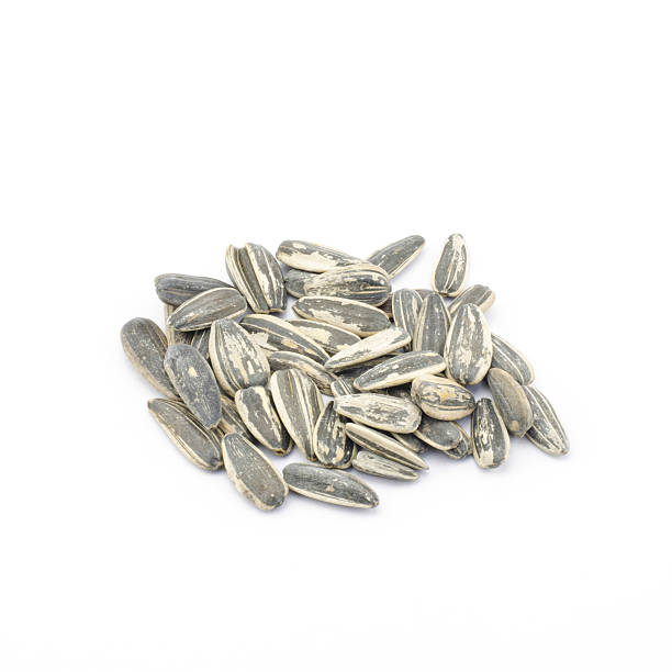 istock sunflower seeds isolated on white 485019837