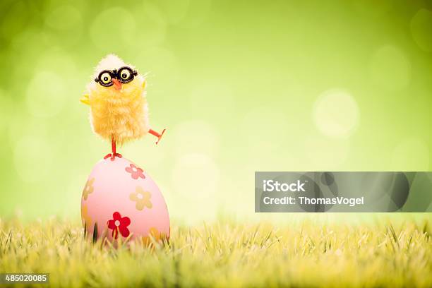 Ostereihuhn Auf Gras Himmel Green Uncool Humor Stockfoto und mehr Bilder von Ostern - Ostern, Huhn - Geflügel, Humor