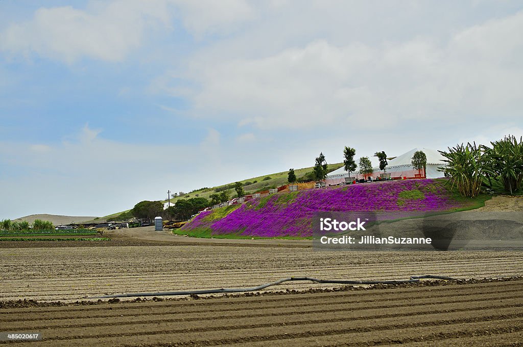 Plowed field Plowed field with a Banana plantation in the hilly background. Agriculture Stock Photo