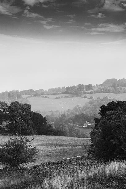 istock Scenic view of fields in the Cotswold, England 485021155