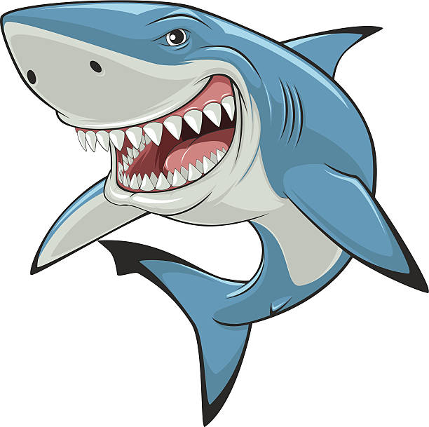 White shark? Vector illustration: toothy white shark great white shark stock illustrations