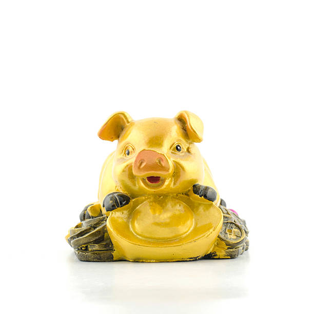 istock gold pig on coin isolated 485021765