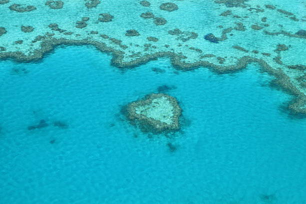 istock Love is in the Air...and water 485021771