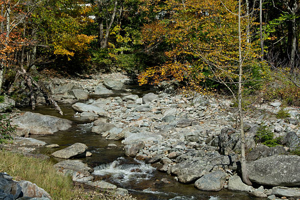 istock Joiner Brook in Bolton, Vermont 485022087