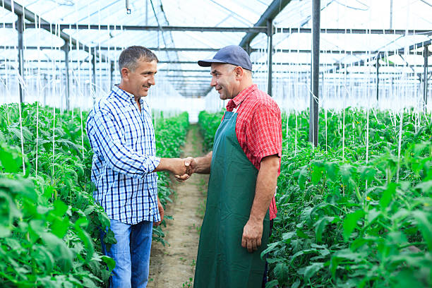 istock Farmers in a greenhouse shaking hands. 485022948