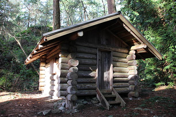 istock Small log cottage in the forest 485025700