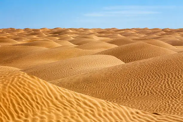 The Grand Erg Oriental / Great Eastern Sand Sea is a large erg or "field of sand dunes" in the Sahara Desert. Situated for the most part in Saharan lowlands of northeast Algeria, the Grand Erg Oriental covers an area some 600 km wide by 200 km north to south. The erg's northeastern edge spills over into neighbouring Tunisia.