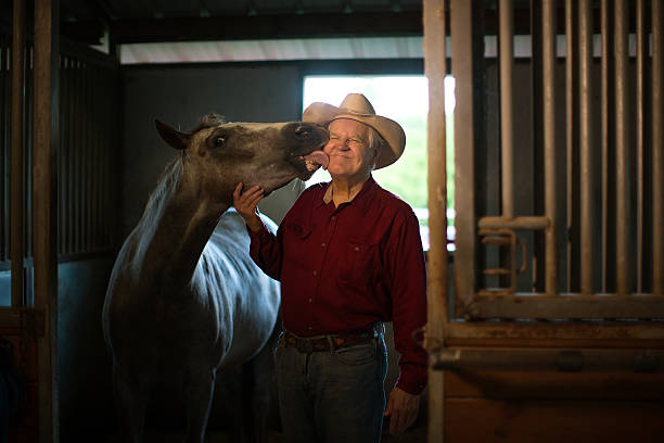 That is love Rancher with his beloved horse at the stable horse barn stock pictures, royalty-free photos & images