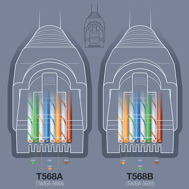 ネットワークケーブル rj 45 コネクタ t568a /t568b 配線図 - network connection plug点のイラスト素材／クリップアート素材／マンガ素材／アイコン素材