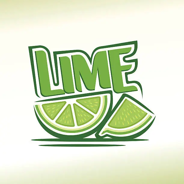 Vector illustration of Vector illustration on the theme of lime
