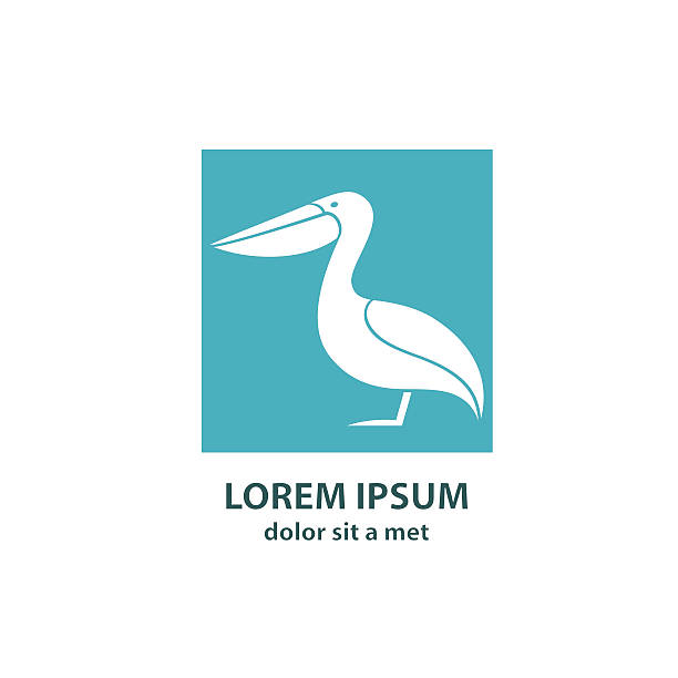 Stylized silhouette of a Pelican Stylized silhouette of a Pelican. Vector illustration. pelican silhouette stock illustrations