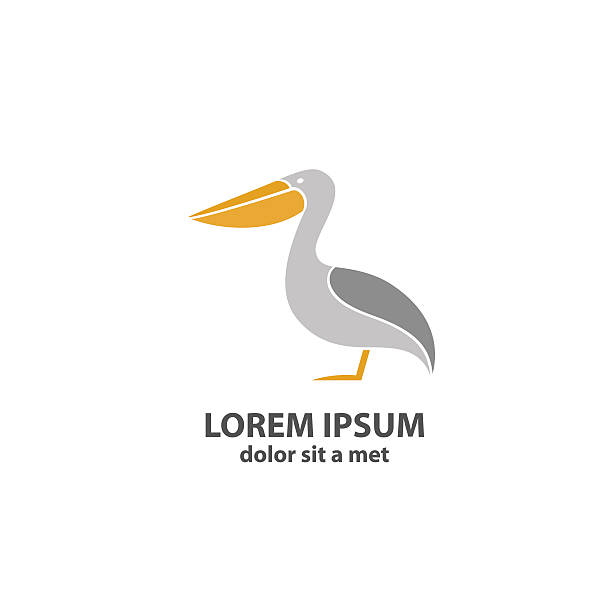 Stylized silhouette of a Pelican Stylized silhouette of a Pelican. Vector illustration. pelican silhouette stock illustrations
