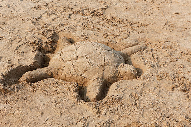 istock Sand Sculpture of a Turtle 485035686