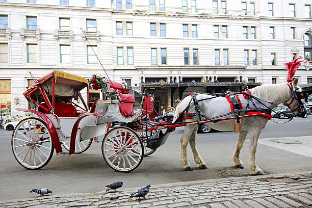 Horse and Carriage Ride near The Plaza Hotel in NYC.