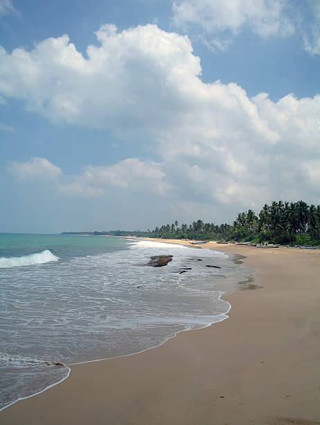 istock Picturesque  tropical beach. Sri Lanka 485037448