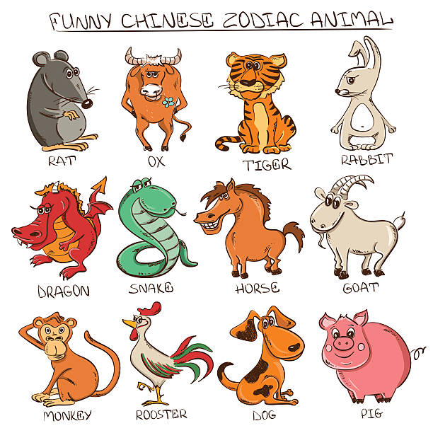 ilustraciones, imágenes clip art, dibujos animados e iconos de stock de conjunto de signos de los animales aislados del zodíaco chino. - horse goat child humor