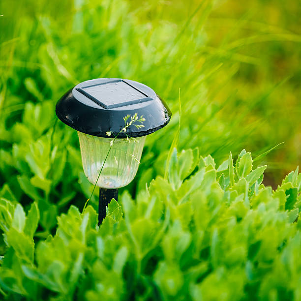 istock Small Solar Garden Light, Lantern In Flower Bed. Garden Design. 485037706