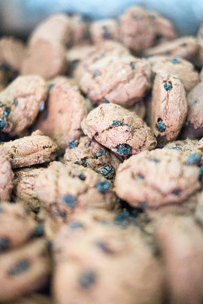 istock Chocolate Chip Cookies in Blue Tray 485041670