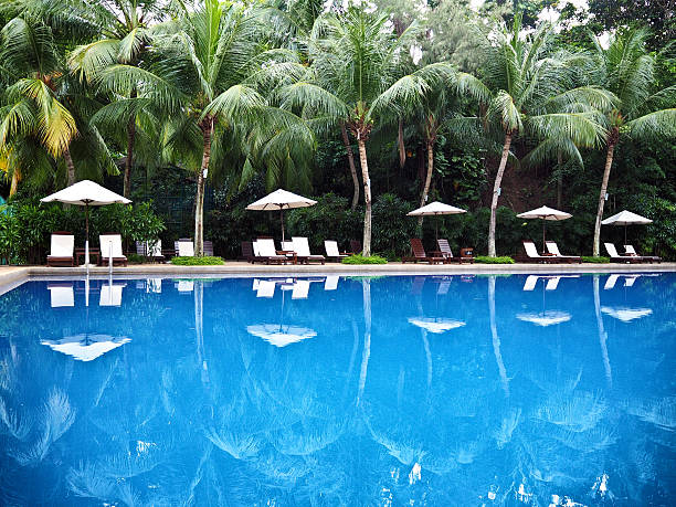 Swimming pool in the tropics with beautiful reflection