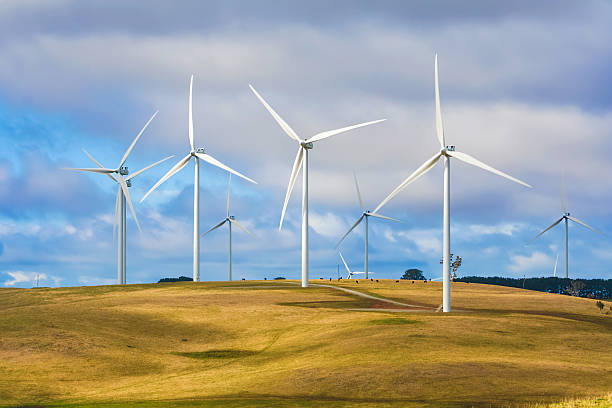 Wind turbines creating renewable energy on cattle farm stock photo