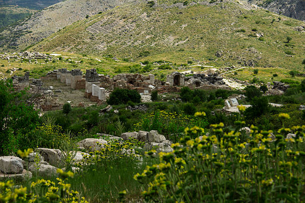 istock Acropolis Of Pergamnom,wildflower 485045658