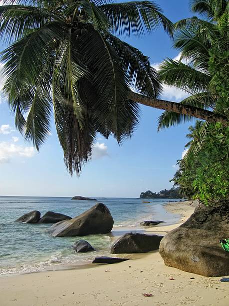 istock Sandy beach in Seychellois bay 485048422
