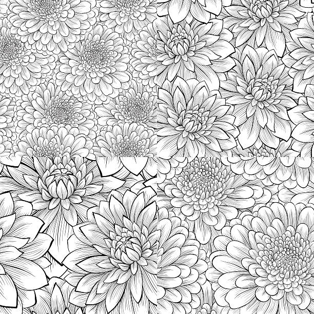 illustrazioni stock, clip art, cartoni animati e icone di tendenza di set di bianco e nero seamless pattern con fiori. - single flower chrysanthemum design plant