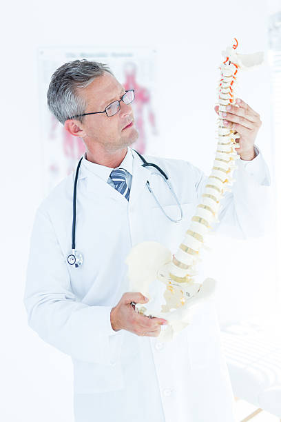 istock Doctor examining anatomical spine 485052046