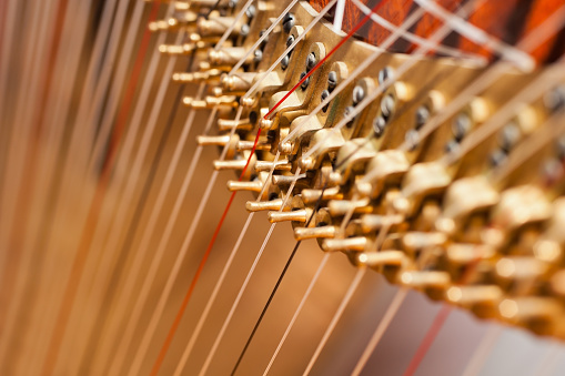  Harp strings closeup