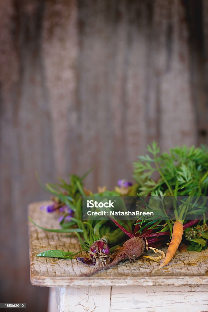 Herbs and vegetables Assortment of fresh herbs mint, oregano, thym, blooming sage and young vegetables beetroot and carrot over old wooden stool as background. Natural day light. With copyspace on top 2015 Stock Photo