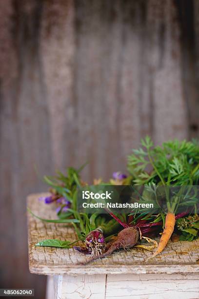 Herbs And Vegetables Stock Photo - Download Image Now - 2015, Backgrounds, Beet