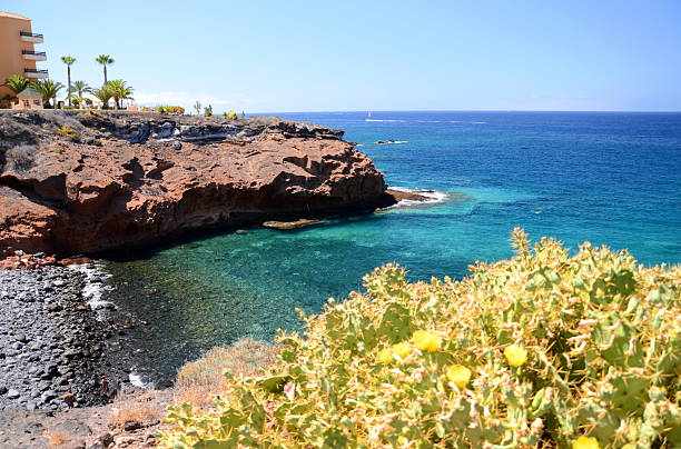 istock Beautiful beach in Playa Paraiso on Tenerife, Spain 485065910