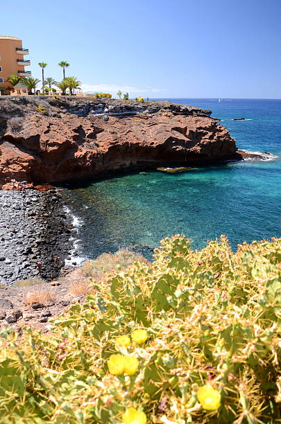 istock Beautiful beach in Playa Paraiso on Tenerife, Spain 485065912