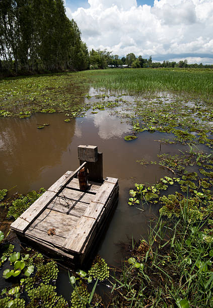 aal angeln trap ländliche küche asiens treffen - eel trap stock-fotos und bilder