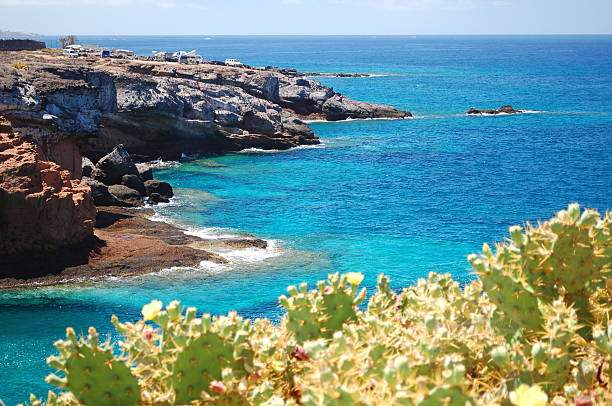 Turquoise bay and volcanic cliffs in Playa Paraiso, Tenerife, Spain