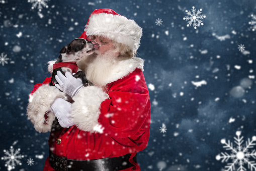 Santa Claus holds a small dog in his arms. The puppy licks Santa's face in a show of pure love. This picture has a horizontal composition, and falling snow flakes.