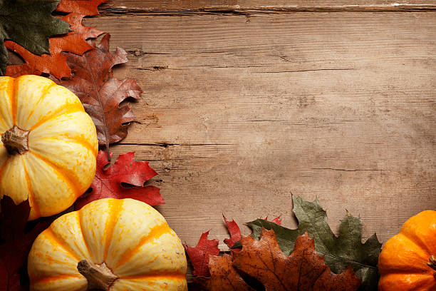 istock Pumpkins And fall leaves on Rustic Barnwood 485072106