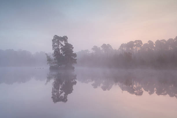 istock misty sunrise on wild lake 485073500