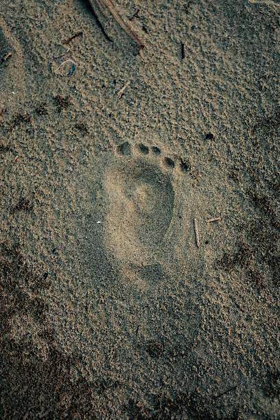 A centre line in the wet sand, with footsteps to one side on a sunny day.