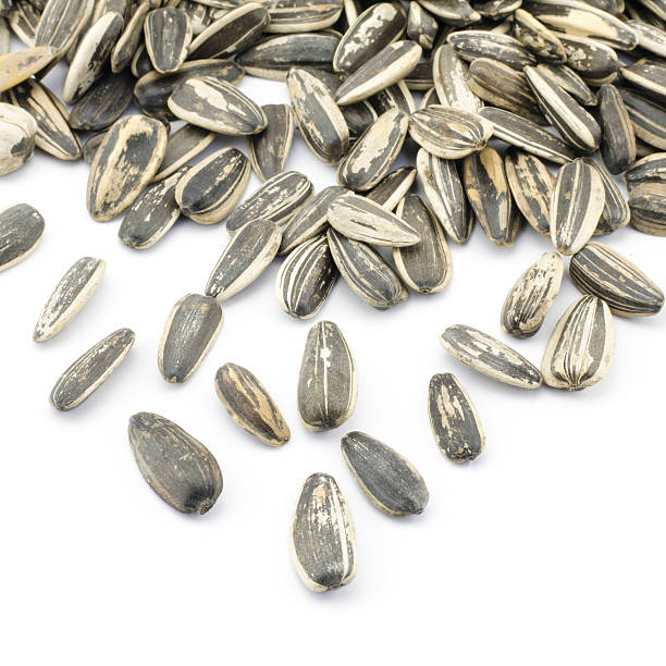 istock sunflower seeds isolated on white 485075407