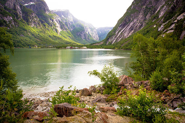 Calm fjord stock photo