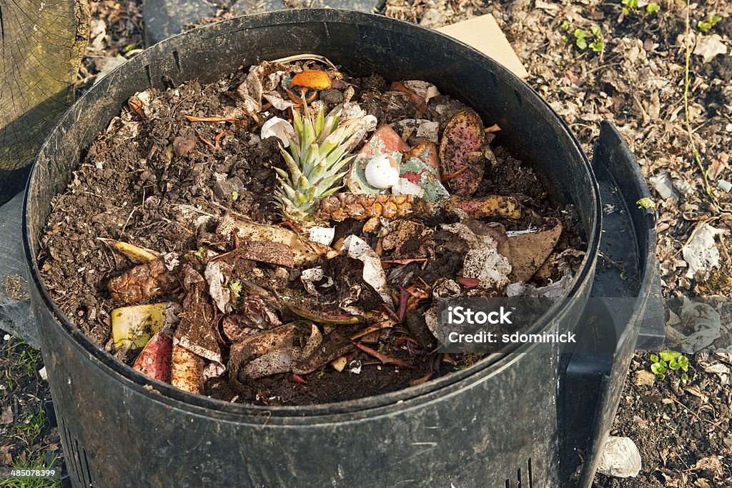 Wypełniony pojemnik Kompost - Zbiór zdjęć royalty-free (Bez ludzi)