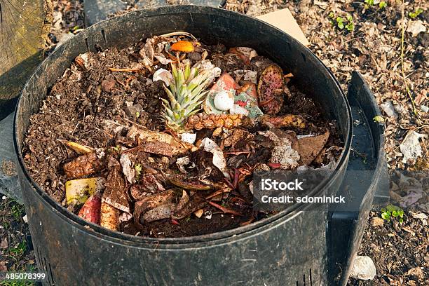 Wypełniony Pojemnik Kompost - zdjęcia stockowe i więcej obrazów Bez ludzi - Bez ludzi, Brudny, Faszerowany
