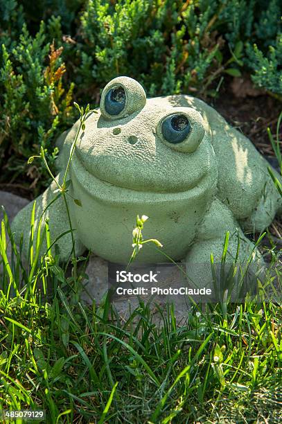 Frog On The Lawn Stock Photo - Download Image Now - Autumn, Backgrounds, Bush