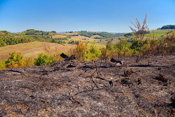 istock Shocking contrast between the beautiful Tuscan hills 485080874