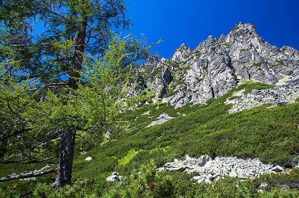istock High Tatras, Slovakia 485080886
