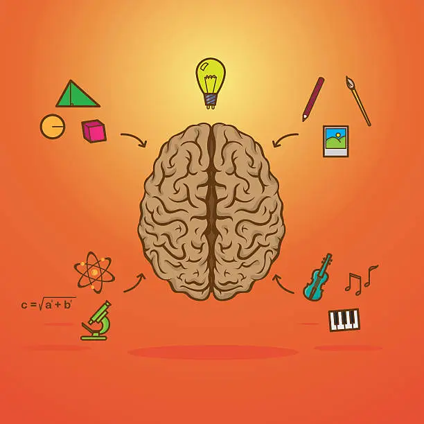 Vector illustration of Colourful left and right brain