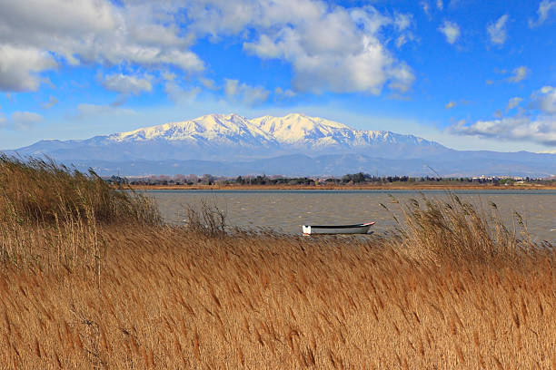 pic du-canigou-france - bark stock-fotos und bilder