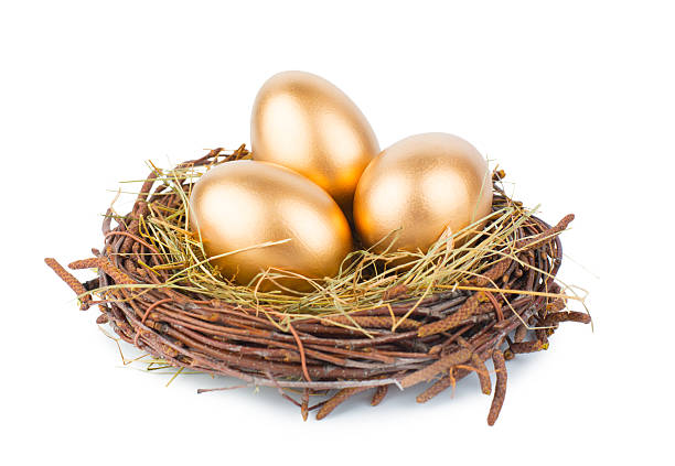 ovos de ouro - wealth eggs animal egg easter egg imagens e fotografias de stock